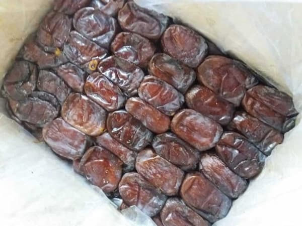 تصویر 2 از قیمت خرما شاهانی خشک + خرید باور نکردنی