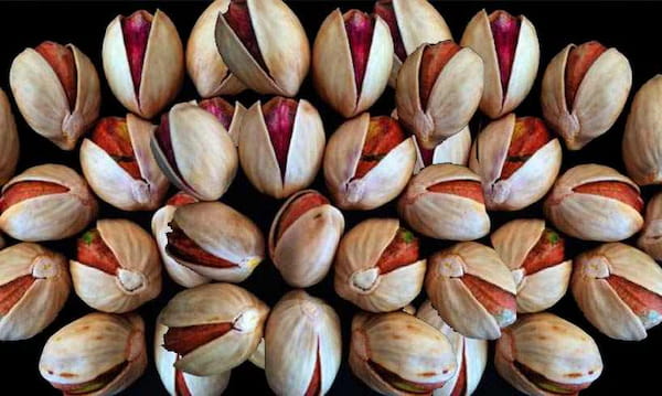 تصویر 4 از قیمت خرید پسته اکبری تنوری + فروش ویژه