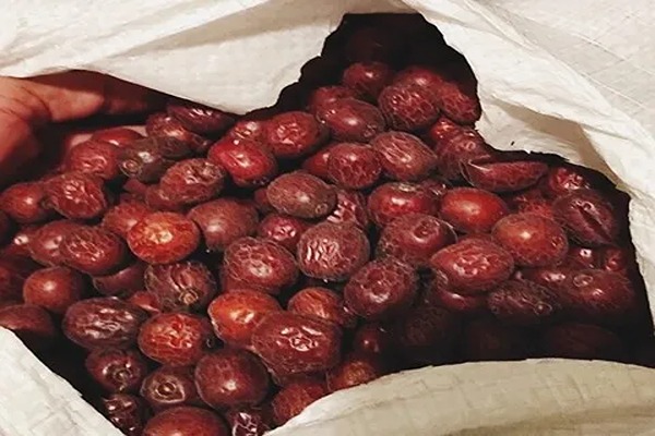 تصویر 4 از فروش گیاه دارویی عناب + قیمت خرید به صرفه