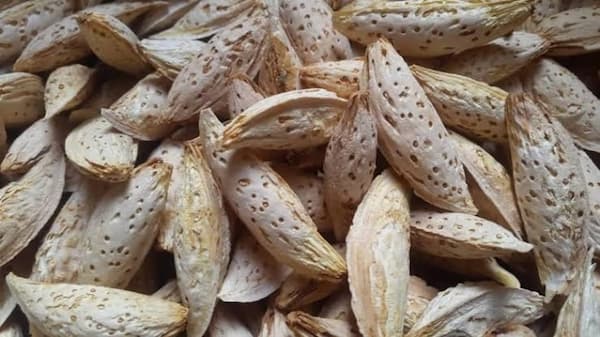 تصویر 2 از فروش بادام درختی افغانستان + قیمت خرید به صرفه