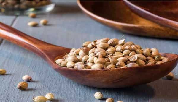 تصویر 5 از خرید پودر تخم گشنیز + قیمت فروش استثنایی