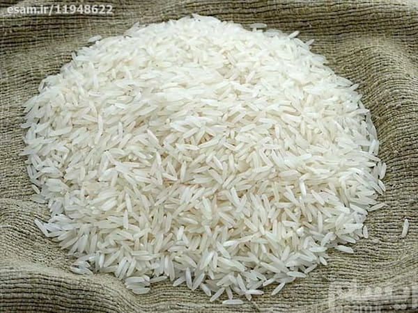 تصویر 4 از قیمت خرید برنج طارم هاشمی اعلا عمده به صرفه و ارزان