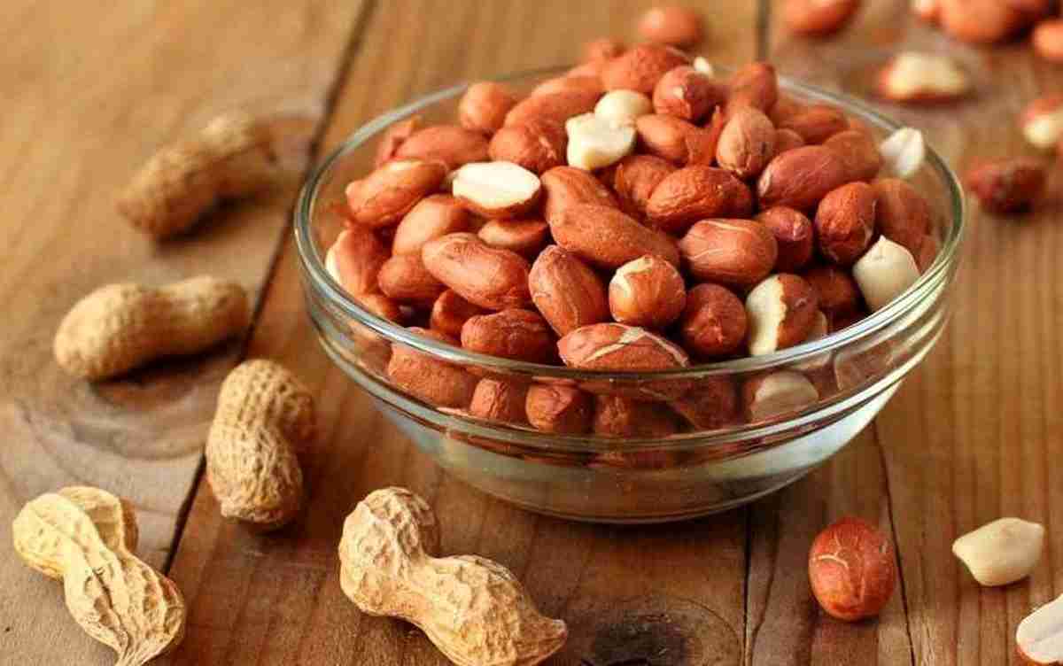 تصویر 5 از خرید بادام زمینی پوست دار + قیمت فروش استثنایی