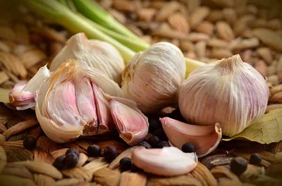 تصویر 2 از قیمت خرید سیر خشک همدان + فروش ویژه