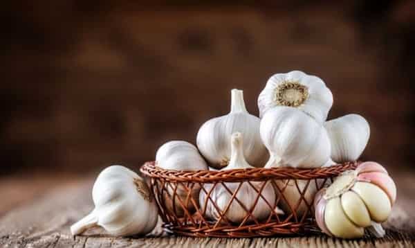 تصویر 5 از خرید و قیمت پودر سیر کیلویی + فروش عمده