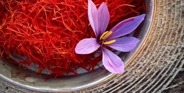 تصویر 2 از خرید و قیمت زعفران سرگل قائنات + فروش عمده