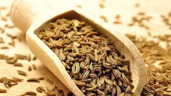 تصویر 1 از خرید زیره سبز طب سنتی + قیمت فروش استثنایی