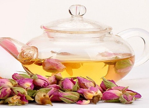 تصویر 2 از خرید گل سرخ چایی + قیمت فروش استثنایی