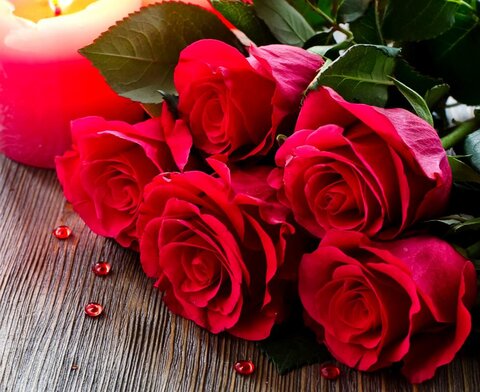 تصویر 1 از قیمت گل سرخ لاله زار کرمان + خرید باور نکردنی