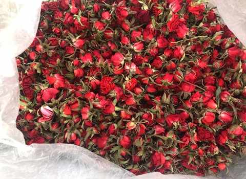 تصویر 3 از قیمت خرید گل سرخ خشک شده + فروش ویژه