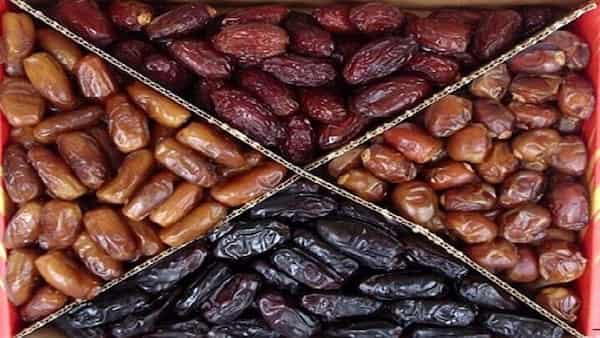 تصویر 5 از خرید خرما سطلی کبکاب + قیمت عالی باکیفیت