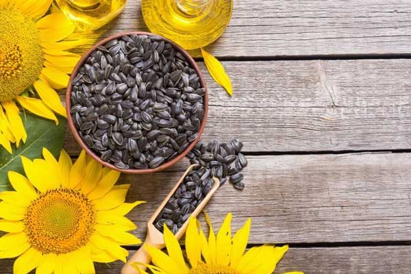 تصویر 4 از فروش تخمه آفتابگردان طعم دار + قیمت خرید به صرفه