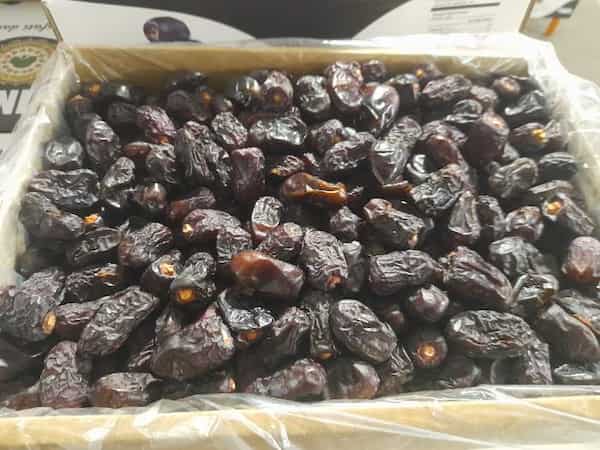 تصویر 2 از قیمت خرید خرما مضافتی کلوته عمده به صرفه و ارزان