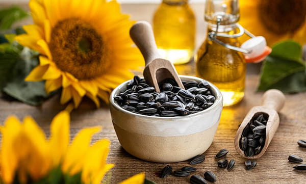 تصویر 2 از قیمت خرید تخمه آفتابگردان بو داده با فروش عمده