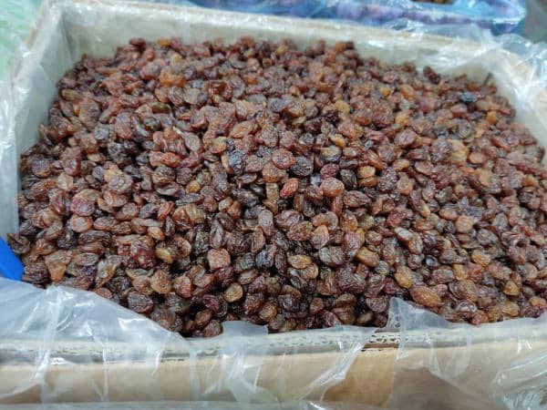 تصویر 3 از قیمت خرید کشمش پلویی درجه یک + فروش ویژه