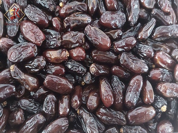 تصویر 3 از فروش خرما ربی سراوان + قیمت خرید به صرفه
