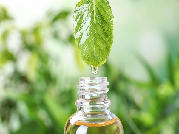 تصویر 5 از خرید عرق نعنا عمده + قیمت فروش استثنایی