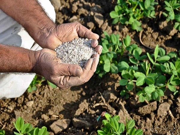 تصویر 3 از قیمت خرید دی آمونیوم فسفات چینی با فروش عمده