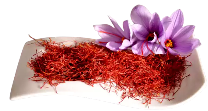 تصویر 4 از خرید و قیمت زعفران شبه نگین + فروش عمده