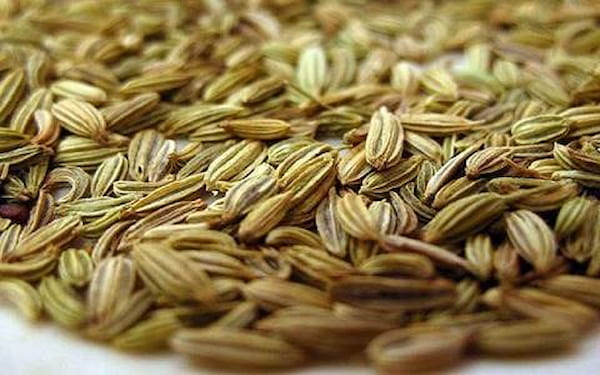 تصویر 4 از قیمت زیره سبز مشهد با کیفیت ارزان + خرید عمده