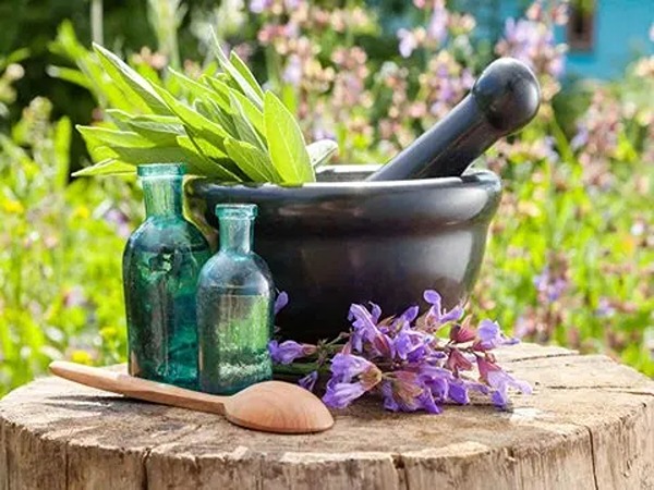 تصویر 2 از قیمت خرید عرق 20 گیاه عمده به صرفه و ارزان
