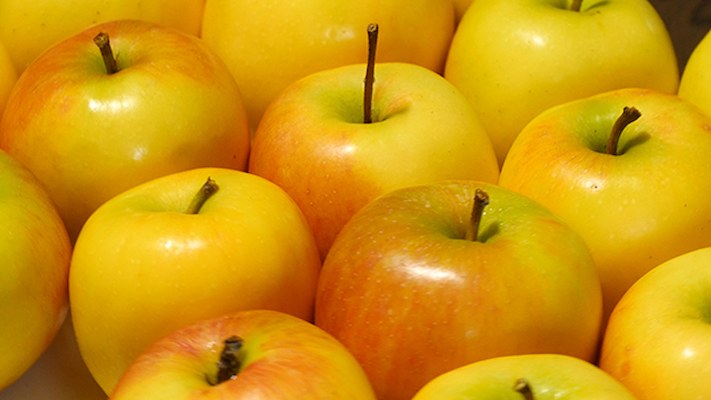تصویر 4 از قیمت سیب گلابی زرد + خرید باور نکردنی