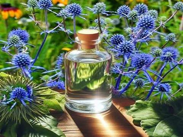 تصویر 3 از قیمت عرق بوقناق ارگانیک + خرید باور نکردنی
