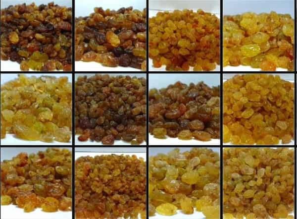 تصویر 5 از قیمت کشمش انگوری طلایی + خرید باور نکردنی