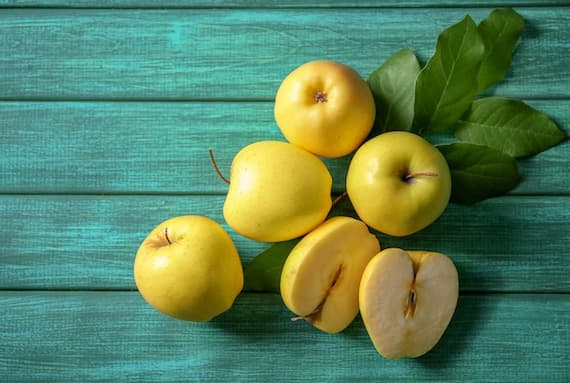 تصویر 5 از فروش سیب گلاب زرد + قیمت خرید به صرفه