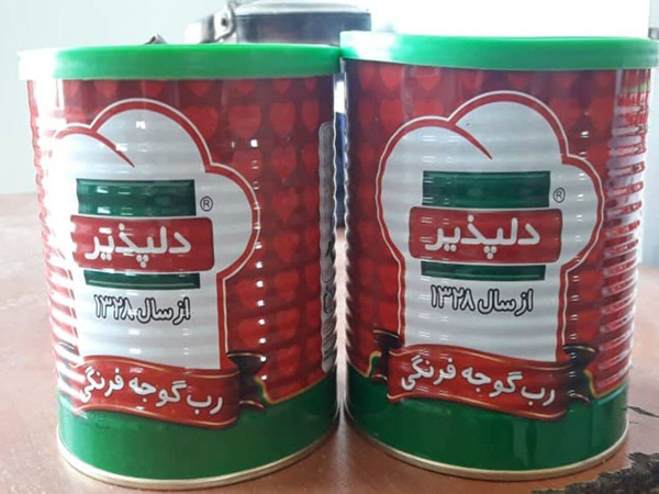 تصویر 3 از خرید و فروش رب گوجه دلپذیر با شرایط فوق العاده
