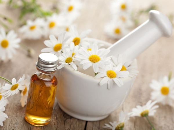 تصویر 2 از قیمت خرید عرق بابونه و عسل عمده به صرفه و ارزان