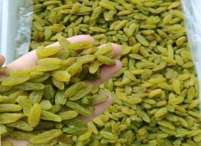 تصویر 2 از خرید کشمش سبز آفتابی + قیمت فروش استثنایی