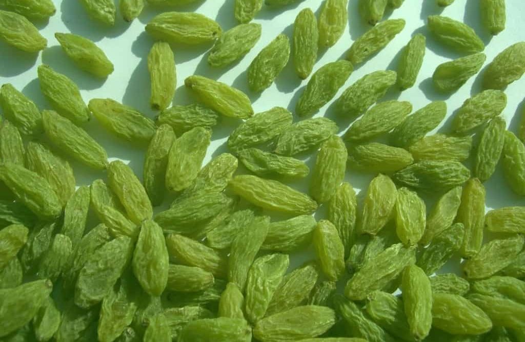 تصویر 5 از خرید کشمش سبز آفتابی + قیمت فروش استثنایی