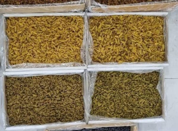 تصویر 1 از قیمت خرید کشمش آفتابی پاک شده + فروش ویژه