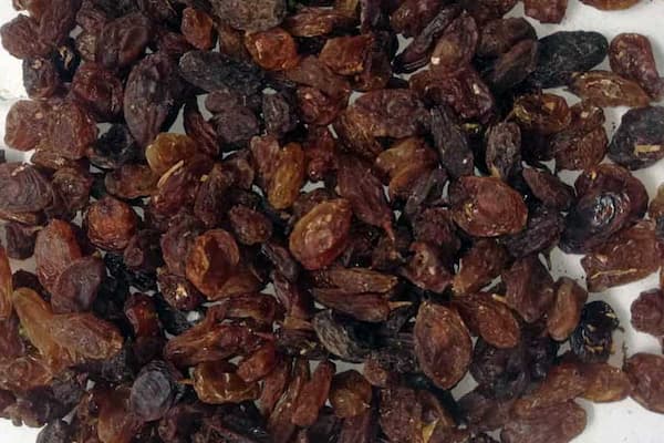 تصویر 3 از قیمت کشمش آفتابی بی دانه + خرید باور نکردنی