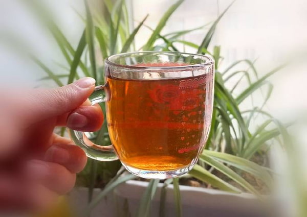 تصویر 1 از خرید چای ایرانی درجه یک + قیمت فروش استثنایی