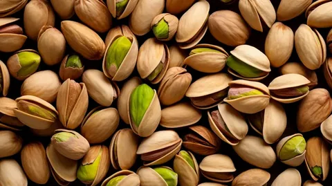 تصویر 2 از قیمت خرید پسته بادامی فیض آباد با فروش عمده