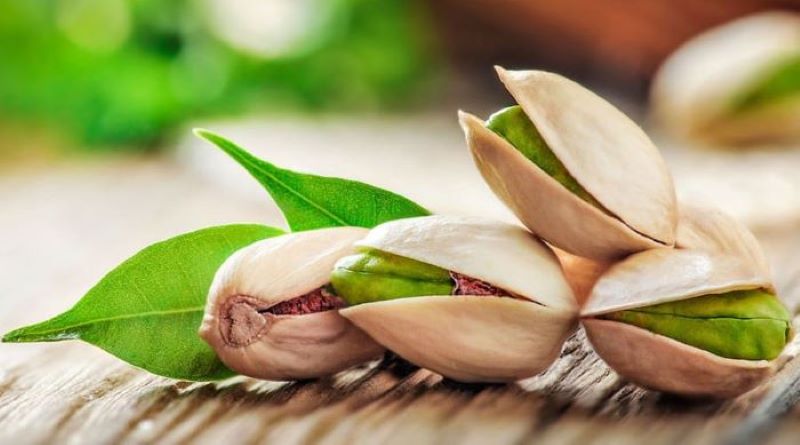 تصویر 3 از خرید پسته کله قوچی دستچین + قیمت فروش استثنایی