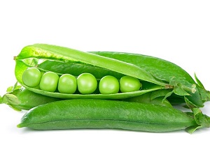 تصویر 2 از فروش نخود یک کیلویی + قیمت خرید به صرفه