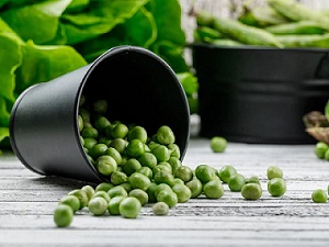 تصویر 3 از فروش نخود یک کیلویی + قیمت خرید به صرفه
