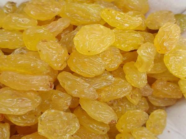 تصویر 3 از قیمت کشمش زرد کاشمر + خرید باور نکردنی