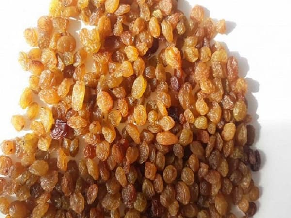 تصویر 5 از قیمت کشمش زرد کاشمر + خرید باور نکردنی