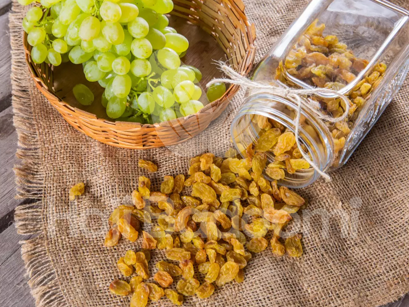 تصویر 1 از قیمت کشمش تیزابی خرمایی با کیفیت ارزان + خرید عمده
