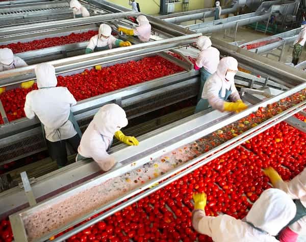 تصویر 4 از خرید رب گوجه فرنگی قوطی 800 گرمی + قیمت فروش استثنایی