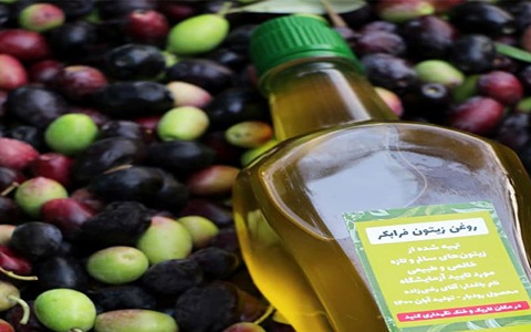 تصویر 5 از قیمت خرید روغن زیتون طارم عمده به صرفه و ارزان