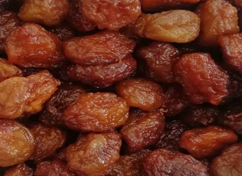 تصویر 5 از قیمت خرید آلو بخارا جنگلی با فروش عمده