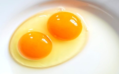 تصویر 1 از خرید و فروش تخم مرغ محلی دو زرده با شرایط فوق العاده