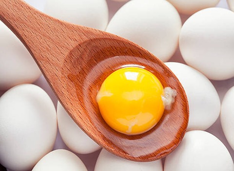 تصویر 4 از خرید و قیمت تخم مرغ زرده زعفرانی + فروش عمده