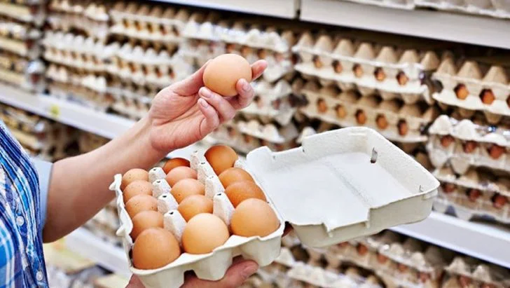 تصویر 3 از قیمت خرید تخم مرغ طبیعی با فروش عمده