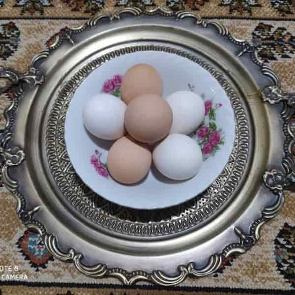 تصویر 1 از قیمت خرید تخم مرغ طبیعی با فروش عمده